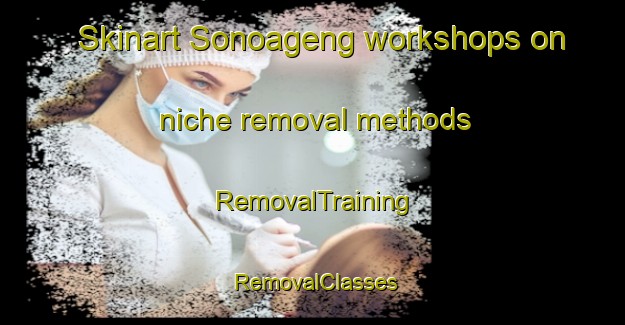 Skinart Sonoageng workshops on niche removal methods | RemovalTraining | RemovalClasses | SkinartTraining-Indonesia