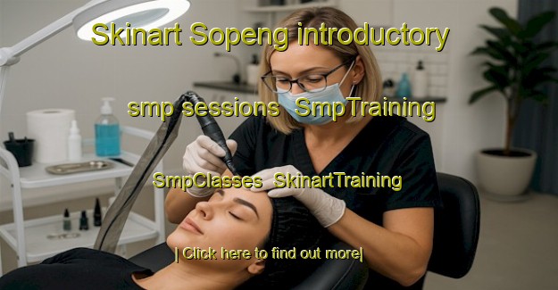 Skinart Sopeng introductory smp sessions | SmpTraining | SmpClasses | SkinartTraining-Indonesia