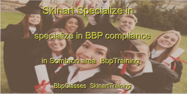 Skinart Specialize in specialize in BBP compliance in Sombron area | BbpTraining | BbpClasses | SkinartTraining-Indonesia