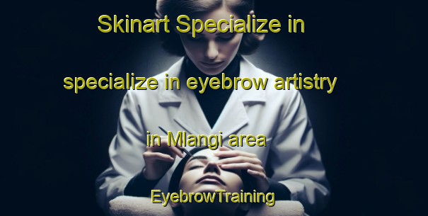 Skinart Specialize in specialize in eyebrow artistry in Mlangi area | EyebrowTraining | EyebrowClasses | SkinartTraining-Indonesia