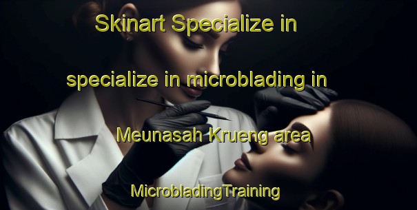 Skinart Specialize in specialize in microblading in Meunasah Krueng area | #MicrobladingTraining #MicrobladingClasses #SkinartTraining-Indonesia