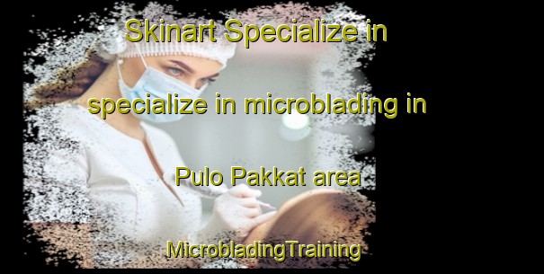 Skinart Specialize in specialize in microblading in Pulo Pakkat area | MicrobladingTraining | MicrobladingClasses | SkinartTraining-Indonesia