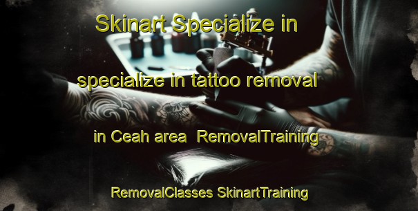 Skinart Specialize in specialize in tattoo removal in Ceah area | #RemovalTraining #RemovalClasses #SkinartTraining-Indonesia