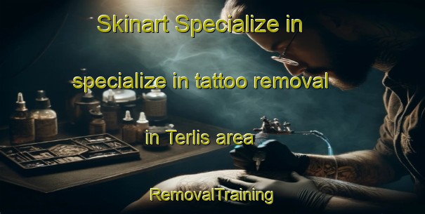 Skinart Specialize in specialize in tattoo removal in Terlis area | RemovalTraining | RemovalClasses | SkinartTraining-Indonesia