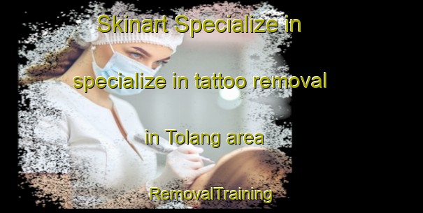 Skinart Specialize in specialize in tattoo removal in Tolang area | RemovalTraining | RemovalClasses | SkinartTraining-Indonesia
