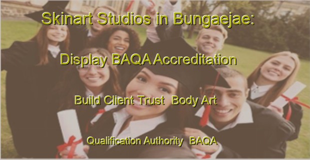 Skinart Studios in Bungaejae: Display BAQA Accreditation - Build Client Trust | Body Art Qualification Authority | BAQA-Indonesia