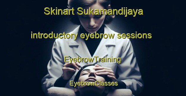 Skinart Sukamandijaya introductory eyebrow sessions | EyebrowTraining | EyebrowClasses | SkinartTraining-Indonesia