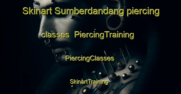 Skinart Sumberdandang piercing classes | #PiercingTraining #PiercingClasses #SkinartTraining-Indonesia