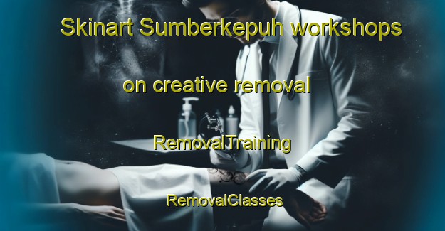 Skinart Sumberkepuh workshops on creative removal | RemovalTraining | RemovalClasses | SkinartTraining-Indonesia