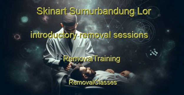 Skinart Sumurbandung Lor introductory removal sessions | RemovalTraining | RemovalClasses | SkinartTraining-Indonesia