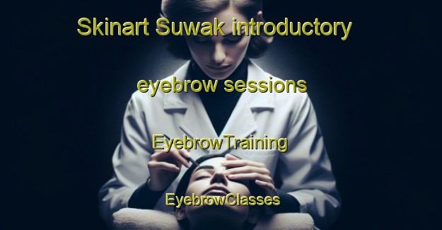 Skinart Suwak introductory eyebrow sessions | EyebrowTraining | EyebrowClasses | SkinartTraining-Indonesia
