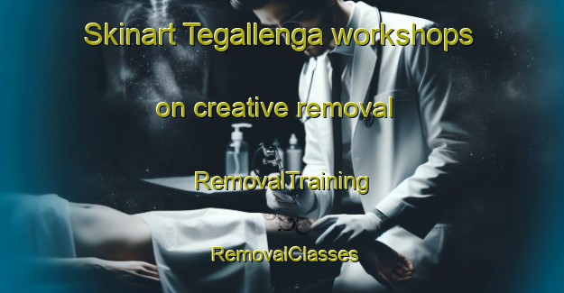 Skinart Tegallenga workshops on creative removal | RemovalTraining | RemovalClasses | SkinartTraining-Indonesia
