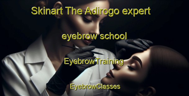 Skinart The Adirogo expert eyebrow school | EyebrowTraining | EyebrowClasses | SkinartTraining-Indonesia