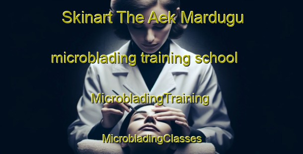 Skinart The Aek Mardugu microblading training school | #MicrobladingTraining #MicrobladingClasses #SkinartTraining-Indonesia