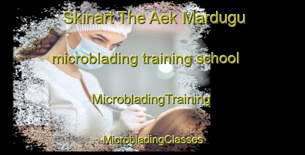 Skinart The Aek Mardugu microblading training school | #MicrobladingTraining #MicrobladingClasses #SkinartTraining-Indonesia