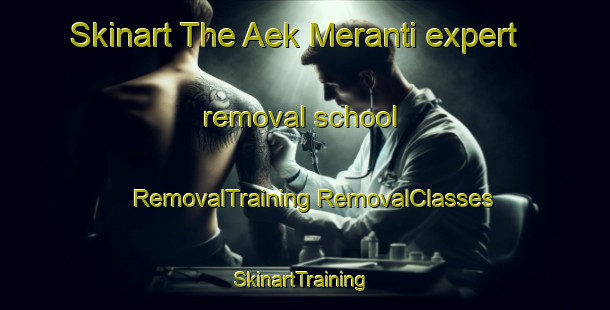 Skinart The Aek Meranti expert removal school | #RemovalTraining #RemovalClasses #SkinartTraining-Indonesia