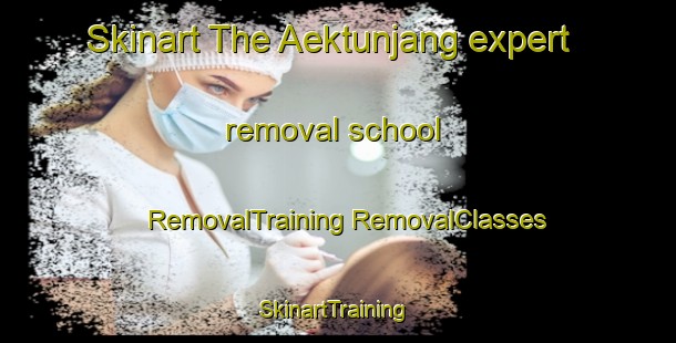 Skinart The Aektunjang expert removal school | #RemovalTraining #RemovalClasses #SkinartTraining-Indonesia