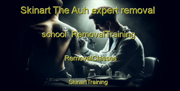 Skinart The Auh expert removal school | RemovalTraining | RemovalClasses | SkinartTraining-Indonesia
