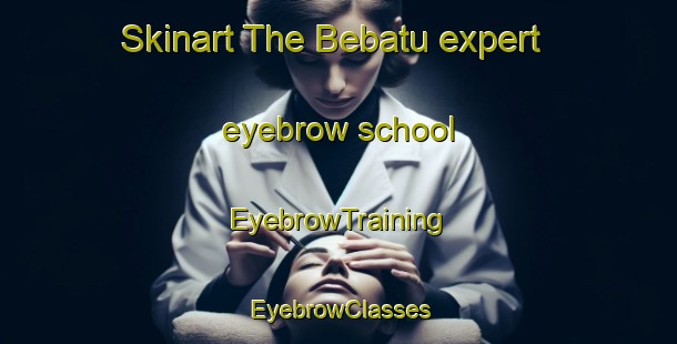 Skinart The Bebatu expert eyebrow school | EyebrowTraining | EyebrowClasses | SkinartTraining-Indonesia