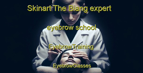 Skinart The Biang expert eyebrow school | EyebrowTraining | EyebrowClasses | SkinartTraining-Indonesia