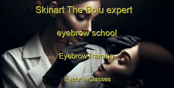 Skinart The Bolu expert eyebrow school | EyebrowTraining | EyebrowClasses | SkinartTraining-Indonesia