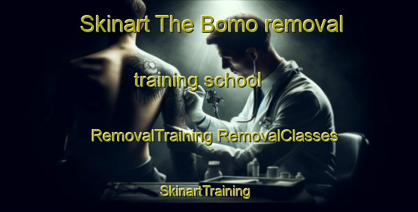 Skinart The Bomo removal training school | #RemovalTraining #RemovalClasses #SkinartTraining-Indonesia