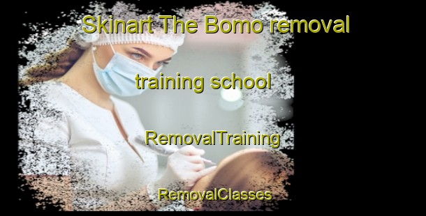 Skinart The Bomo removal training school | RemovalTraining | RemovalClasses | SkinartTraining-Indonesia