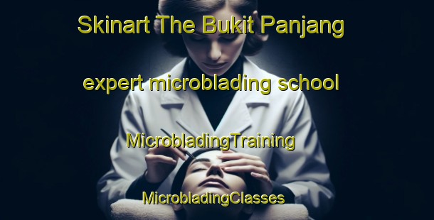Skinart The Bukit Panjang expert microblading school | MicrobladingTraining | MicrobladingClasses | SkinartTraining-Indonesia