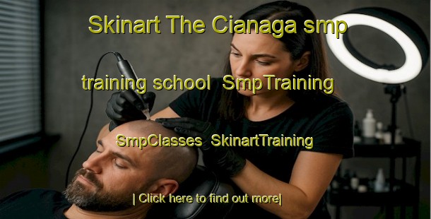 Skinart The Cianaga smp training school | SmpTraining | SmpClasses | SkinartTraining-Indonesia