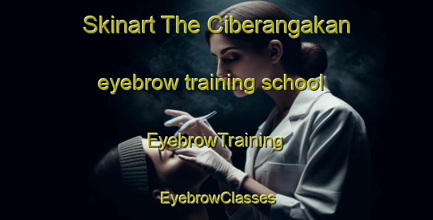 Skinart The Ciberangakan eyebrow training school | EyebrowTraining | EyebrowClasses | SkinartTraining-Indonesia
