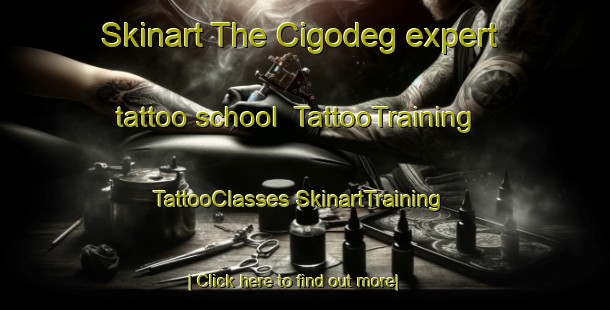 Skinart The Cigodeg expert tattoo school | #TattooTraining #TattooClasses #SkinartTraining-Indonesia