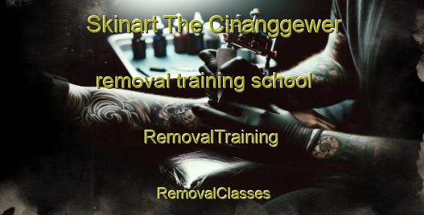 Skinart The Cinanggewer removal training school | RemovalTraining | RemovalClasses | SkinartTraining-Indonesia
