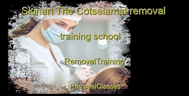 Skinart The Cotselamat removal training school | RemovalTraining | RemovalClasses | SkinartTraining-Indonesia