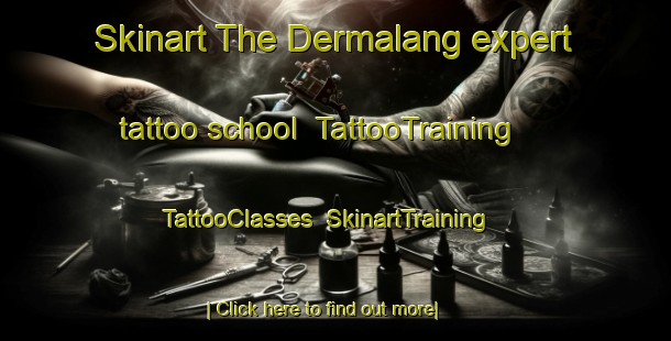 Skinart The Dermalang expert tattoo school | TattooTraining | TattooClasses | SkinartTraining-Indonesia