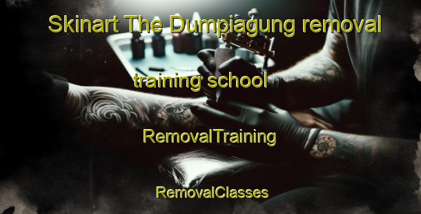 Skinart The Dumpiagung removal training school | RemovalTraining | RemovalClasses | SkinartTraining-Indonesia
