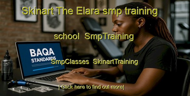 Skinart The Elara smp training school | SmpTraining | SmpClasses | SkinartTraining-Indonesia