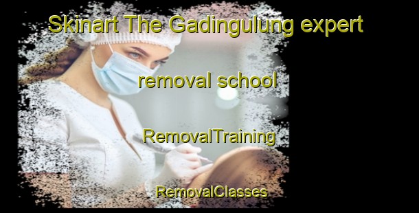 Skinart The Gadingulung expert removal school | RemovalTraining | RemovalClasses | SkinartTraining-Indonesia