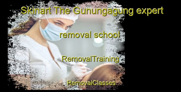 Skinart The Gunungagung expert removal school | RemovalTraining | RemovalClasses | SkinartTraining-Indonesia