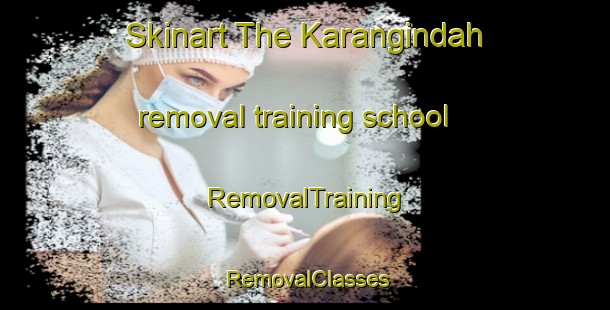 Skinart The Karangindah removal training school | RemovalTraining | RemovalClasses | SkinartTraining-Indonesia