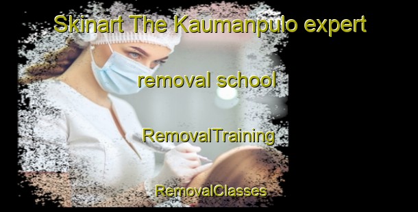 Skinart The Kaumanpulo expert removal school | RemovalTraining | RemovalClasses | SkinartTraining-Indonesia
