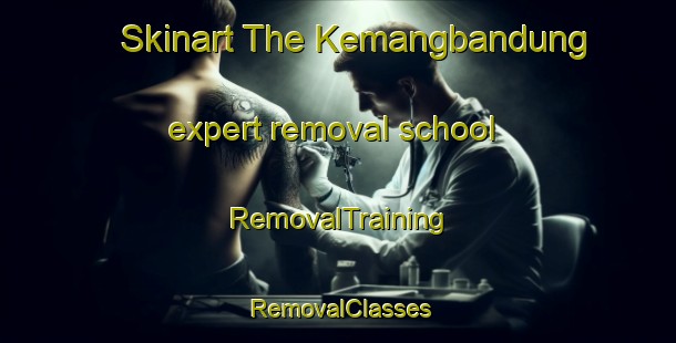 Skinart The Kemangbandung expert removal school | RemovalTraining | RemovalClasses | SkinartTraining-Indonesia