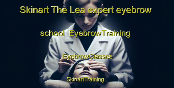 Skinart The Lea expert eyebrow school | EyebrowTraining | EyebrowClasses | SkinartTraining-Indonesia