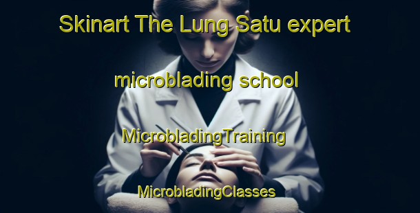 Skinart The Lung Satu expert microblading school | MicrobladingTraining | MicrobladingClasses | SkinartTraining-Indonesia