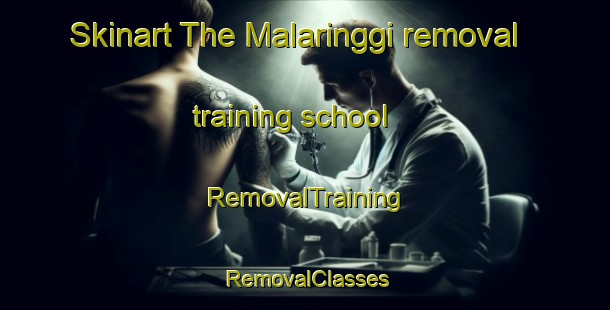 Skinart The Malaringgi removal training school | RemovalTraining | RemovalClasses | SkinartTraining-Indonesia