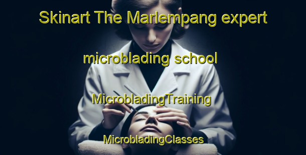 Skinart The Marlempang expert microblading school | #MicrobladingTraining #MicrobladingClasses #SkinartTraining-Indonesia