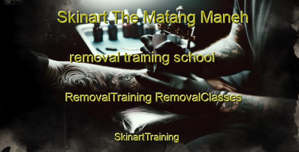 Skinart The Matang Maneh removal training school | #RemovalTraining #RemovalClasses #SkinartTraining-Indonesia