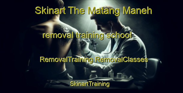 Skinart The Matang Maneh removal training school | #RemovalTraining #RemovalClasses #SkinartTraining-Indonesia