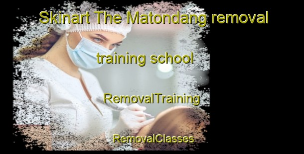 Skinart The Matondang removal training school | RemovalTraining | RemovalClasses | SkinartTraining-Indonesia
