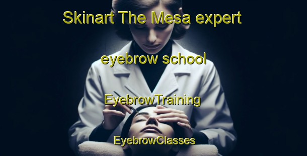 Skinart The Mesa expert eyebrow school | EyebrowTraining | EyebrowClasses | SkinartTraining-Indonesia