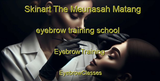 Skinart The Meunasah Matang eyebrow training school | EyebrowTraining | EyebrowClasses | SkinartTraining-Indonesia